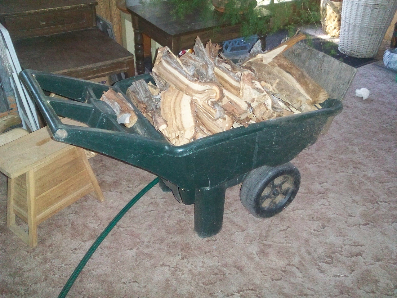 lawn cart full of split wood, in the house