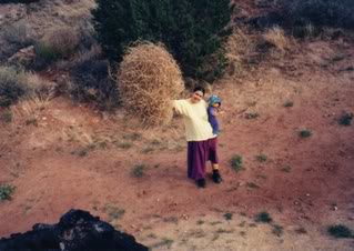 Tumbleweed, - Russian Thistle - DesertUSA