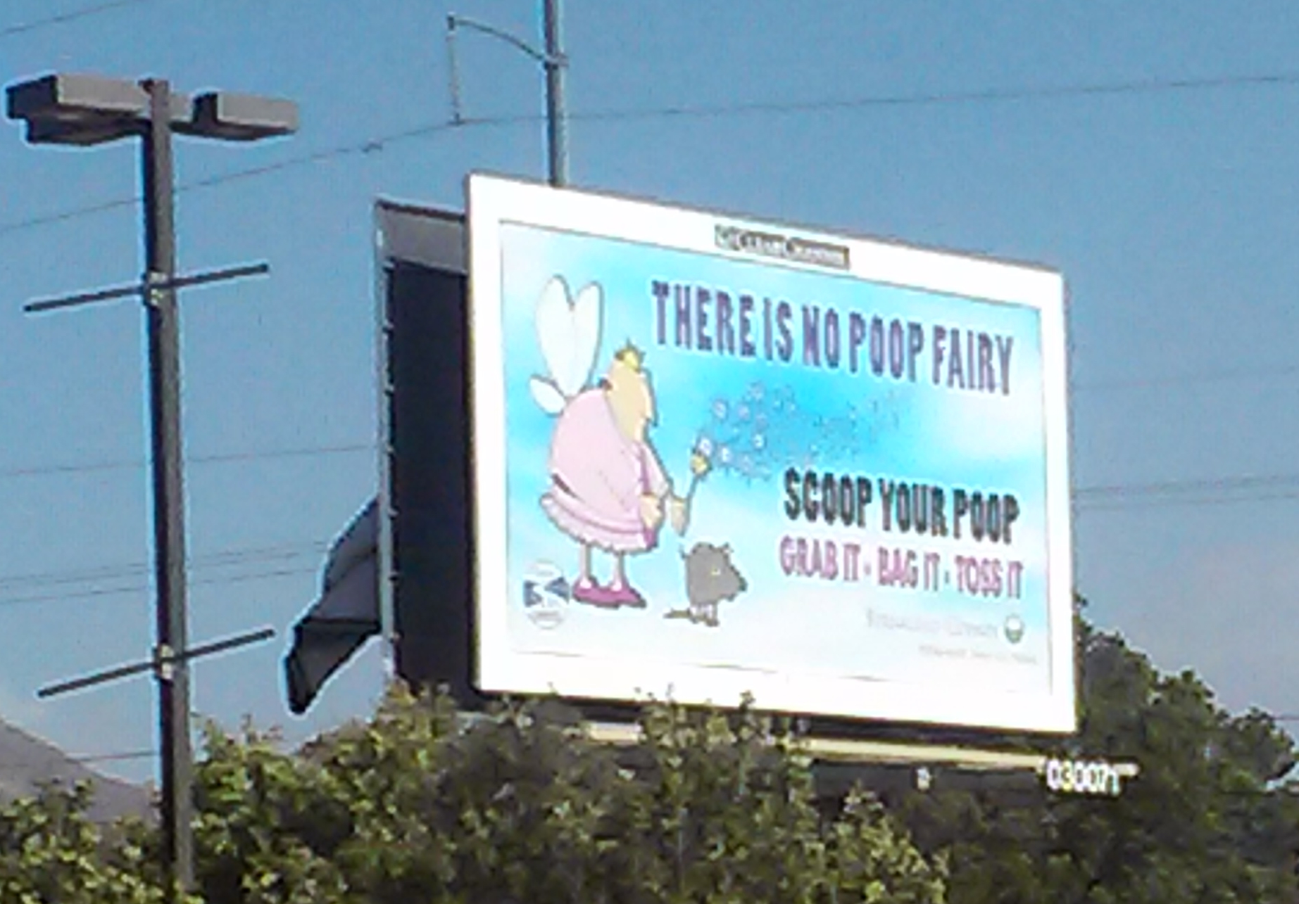 billboard that says 'There is no Poop Fairy,' with a photo of a cartoon dog pooping and a cartoon fairy, telling people to scoop their poop