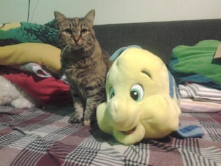 a cat and a flounder doll, on the bed.jpg