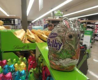 chocolate Easter bilby