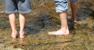 dad and son feet in shallow water