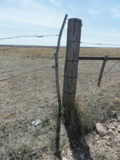 pole-and-wire-loop gate in a barbed wire fence